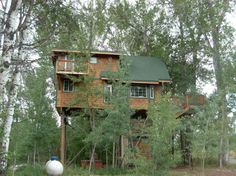 a house in the woods with trees around it and a white ball on the ground