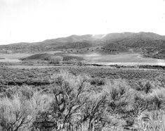 a black and white photo of mountains in the distance with trees, bushes, and grass