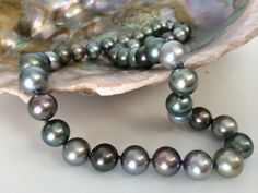 "18\" Natural Color Tahitian 11mm Tahitian pearls .25 ct 14kt dia clasp TRULY AN  EXCEPTIONAL  NECKLACE!  18 inches of fabulous, natural color,  high luster Tahitian pearls of varying shades of grey and black, beautifully assembled into a harmonious multicolor necklace.  ALL THE COLORS ARE NATURAL, NOT TREATED!    The pearls measure 10-11mm in diameter.  Expertly strung on black silk cord and finished with a 14kt diamond pave ball clasp with approximately .25 ct of diamonds. P140" Multicolor Necklace, Silk Cord, Tahitian Pearls, Black Silk, Shades Of Grey, Pave Diamonds, Natural Color, All The Colors, Jewelry Necklaces