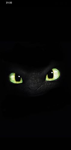 a black cat with glowing green eyes in the dark