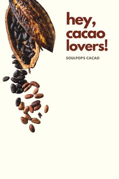 an advertisement for cacao lovers with cocoa beans falling out of the pods