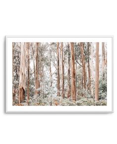 an image of trees in the forest with snow on them and white frame around it