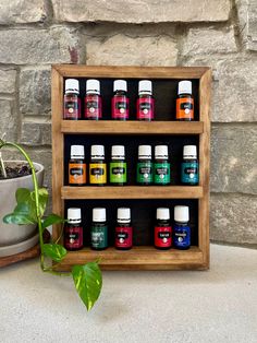 an assortment of essential oils are displayed on a shelf next to a potted plant