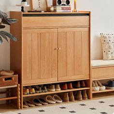 a wooden cabinet with shoes on it next to a potted plant and other items