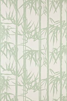 a green and white wallpaper with bamboo trees