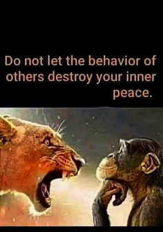 two lions facing each other with the caption do not let the behavior of others destroy your inner peace