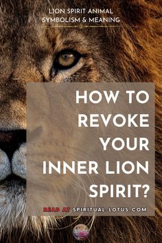 a lion with the words how to revoke your inner lion spirit?