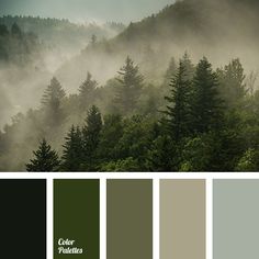 a forest filled with lots of trees and fog in the distance, surrounded by color swatches