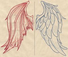 two drawings of wings, one red and the other blue