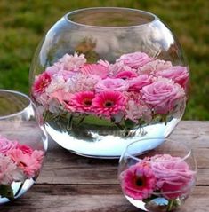 pink flowers in a glass bowl on a wooden table with the words shadow of color