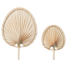 two large bamboo fan shaped sculptures sitting next to each other