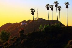 hollywood hills with palm trees in the foreground and an image of a sunset behind them