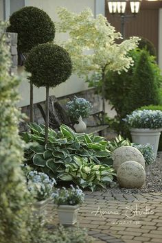 several potted plants and trees in front of a building