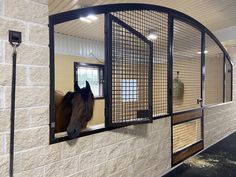 a horse is looking out the window of its stall