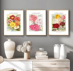 three framed flowers are on the wall above a dresser