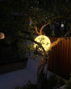 a tree that is next to a fence and some lights in the dark night time