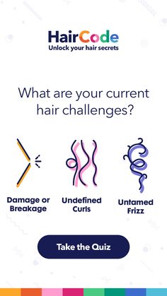 Take The Quiz - Get A Free Scientific Debrief & A Personalized List Of Hair Care Products. Plump Hair, Hair Challenge, Best Hair Care Products, Hair Secrets, Couple Questions, Healthy Hair Tips, Black Hair Care