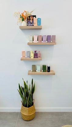 three wooden shelves on the wall with different types of perfumes and plants in them