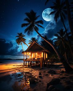 a hut on the beach at night with palm trees