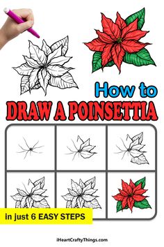 how to draw a poinsettia in just 6 easy steps