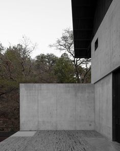 an empty room with concrete walls and wooden floors in the foreground, surrounded by trees