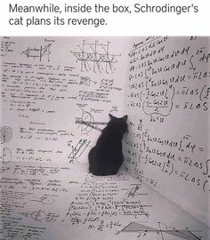 a black cat sitting on top of a white wall covered in lots of writing next to a computer mouse