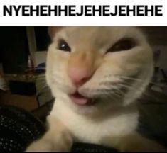 an orange and white cat sitting on top of a computer desk next to a keyboard