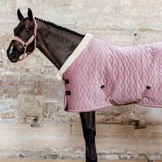 a horse wearing a quilted blanket standing in front of a brick wall