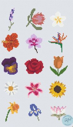 the cross stitch pattern shows different types of flowers and their petals, as well as colors