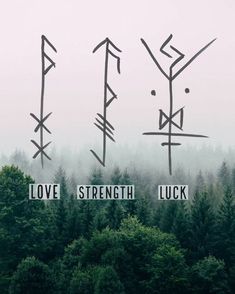 the words love, strength and luck are written in chinese characters on trees with fog