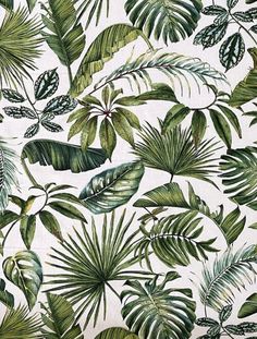 a green and white tropical print wallpaper with palm leaves on the back droplet