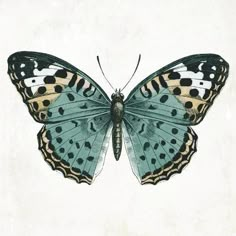 a blue butterfly with black dots on it's wings