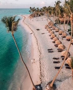 the beach is lined with palm trees and thatched huts