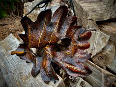 some brown leaves are hanging from a tree