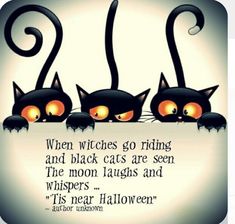 three black cats with orange eyes are looking over a sign that says, when witches go riding and black cats are seen the moon laughs and its near it's near halloween