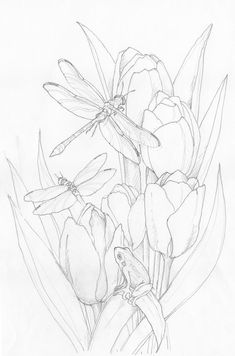 a pencil drawing of some flowers with a dragonfly sitting on it's back