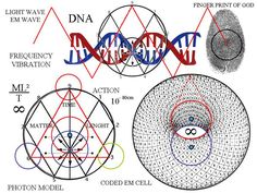 an image of some sort of diagram with different things in it, including the fingerprint and