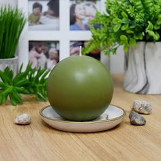 a green ball sitting on top of a plate next to rocks and potted plants