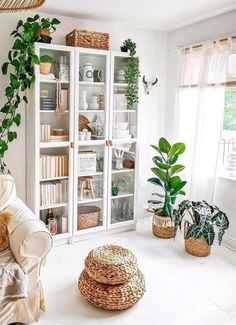 a living room filled with furniture and lots of greenery on top of the shelves