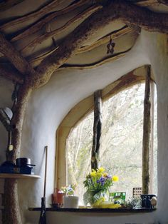 a window with some plants and flowers in it