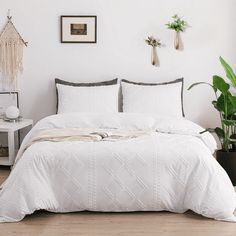 a bed with white comforter and pillows in a room next to a potted plant