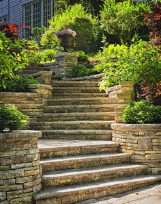 stone steps lead up to a garden with trees and bushes in the back ground,