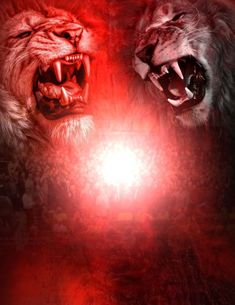 two lions with their mouths open in front of a red light that is shining on them