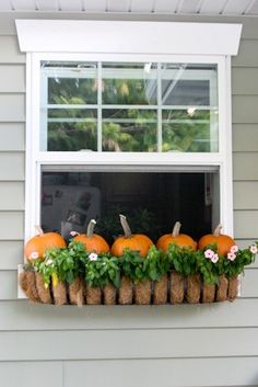 a window sill filled with oranges and greenery in front of a house