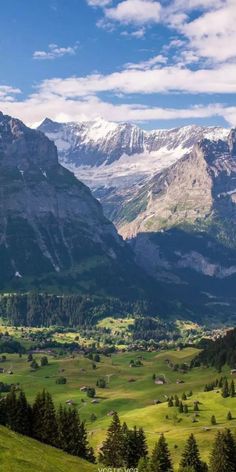 the mountains are covered in snow and green grass, with trees on each side as far as the eye can see