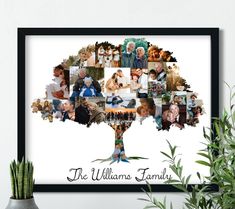 a family tree made up of photos and the words, the williams family on it