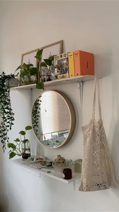 there is a mirror and some plants on the shelf