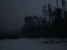 a dark forest filled with lots of trees and covered in snow at night or dawn