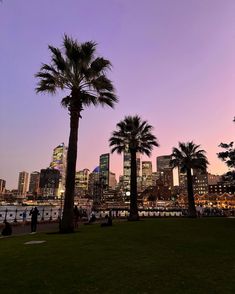 palm trees are in the foreground as people walk on the grass near water and buildings