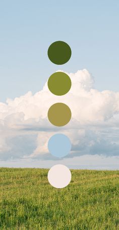 a person standing on top of a lush green field under a blue sky with clouds